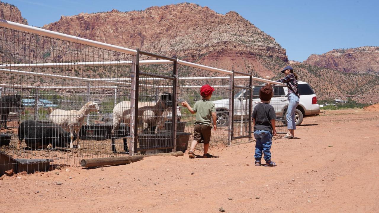 Zion View Camping Hildale Exterior foto